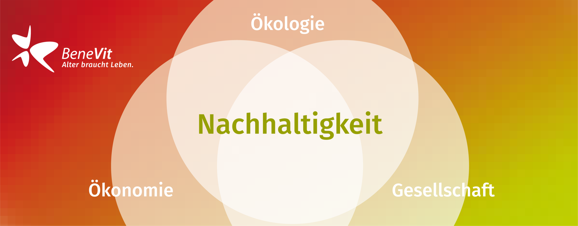 Grafik zur Nachhaltigkeit Ökologie Ökonomie Gesellschaft