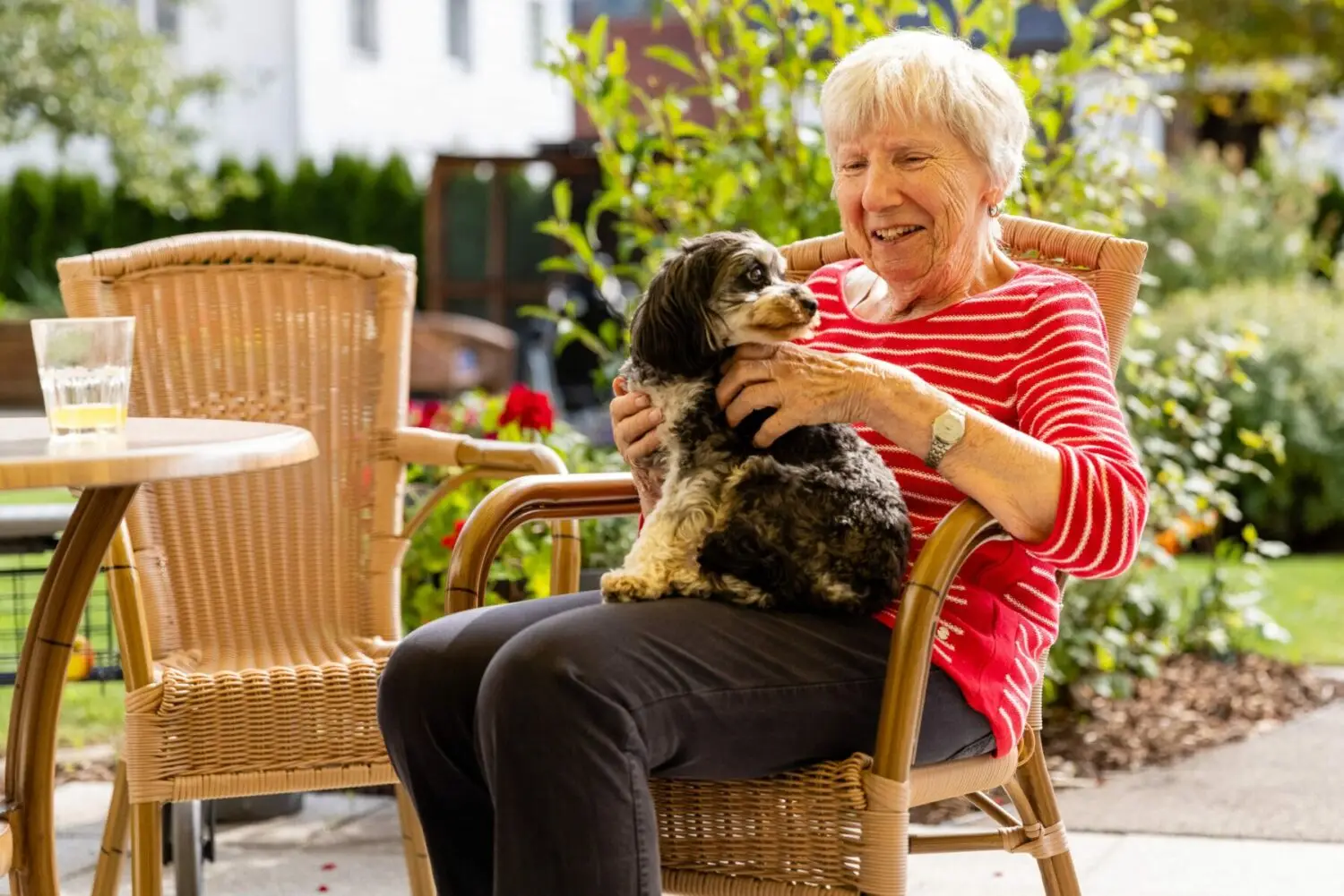 Pflegegesetz: Kommt nun endlich die Anerkennung für stambulant? BeneVit Haus Lechauenhof Bewohnerin mit Hund auf dem Schoß