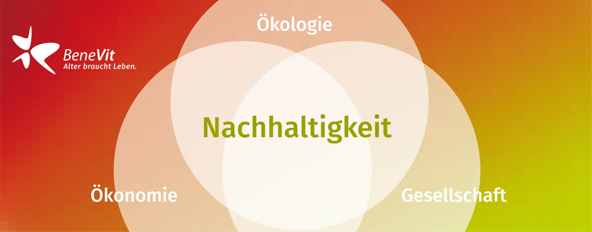 Nachhaltigkeit bei BeneVit: Ökologie, Ökonomie und Gesellschaft